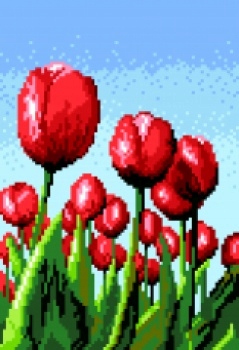 Výšivka křížová sada, kanva+mulina+jehly, 18x28