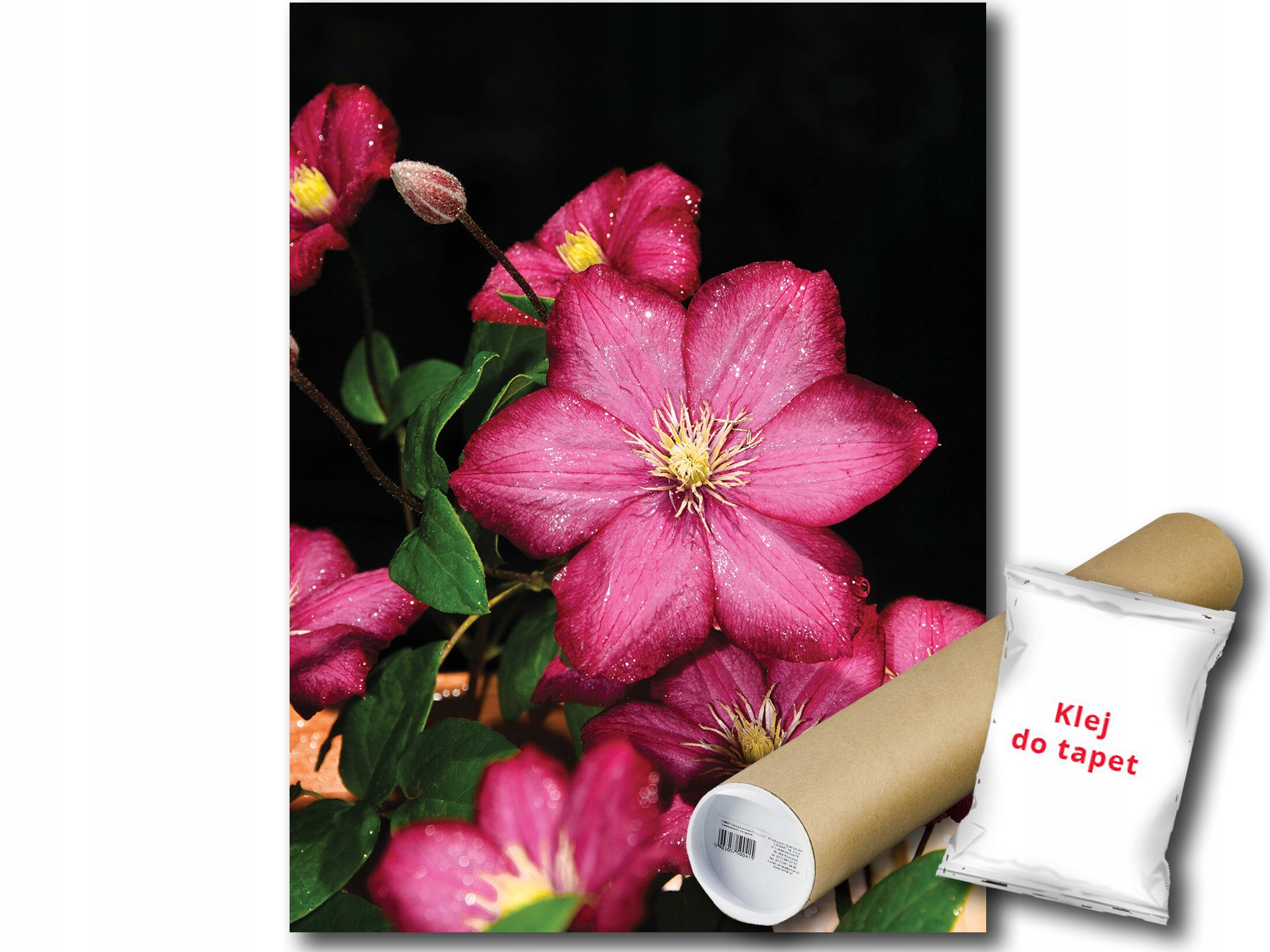 Fototapeta Květiny 9E Panxl 206x275 F1556