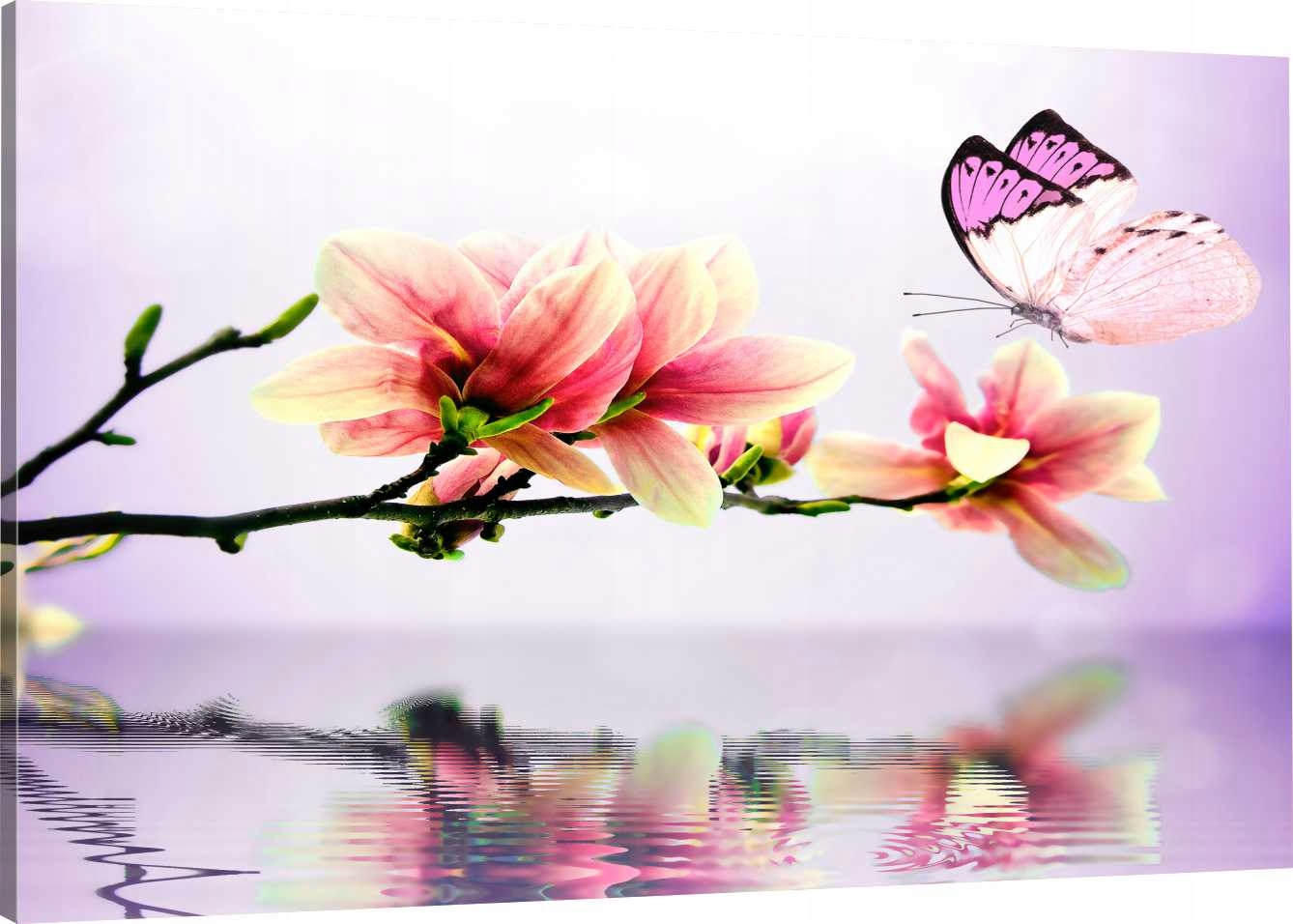 

Obraz Na Płótnie Magnolia Motyl 110x70 800 Wzorów