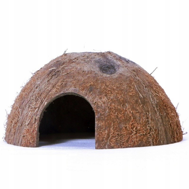 

Kryjówka kokos Jaszczczurka Pająk Gekon Terrarium