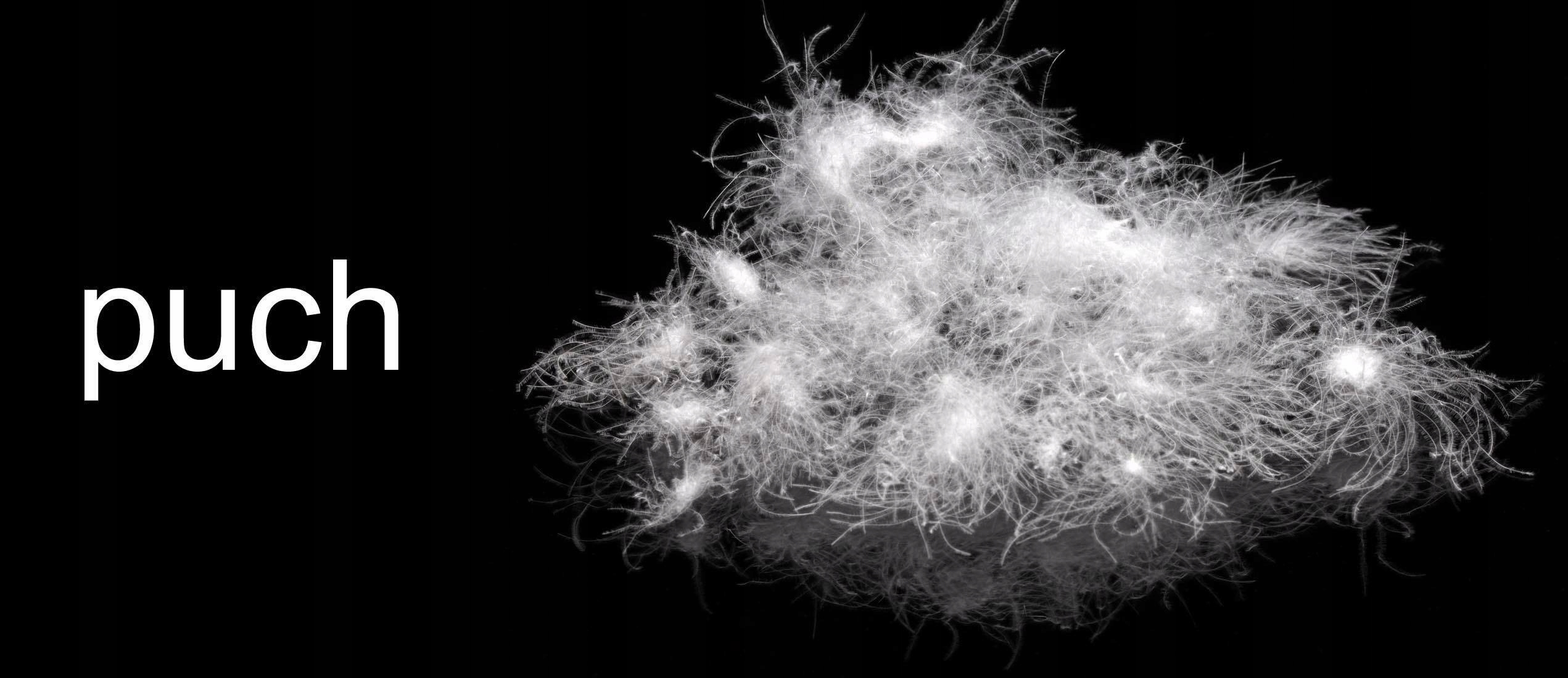 Kołdra Eleganza 140x200 polski puch gęsi premium Bohater brak