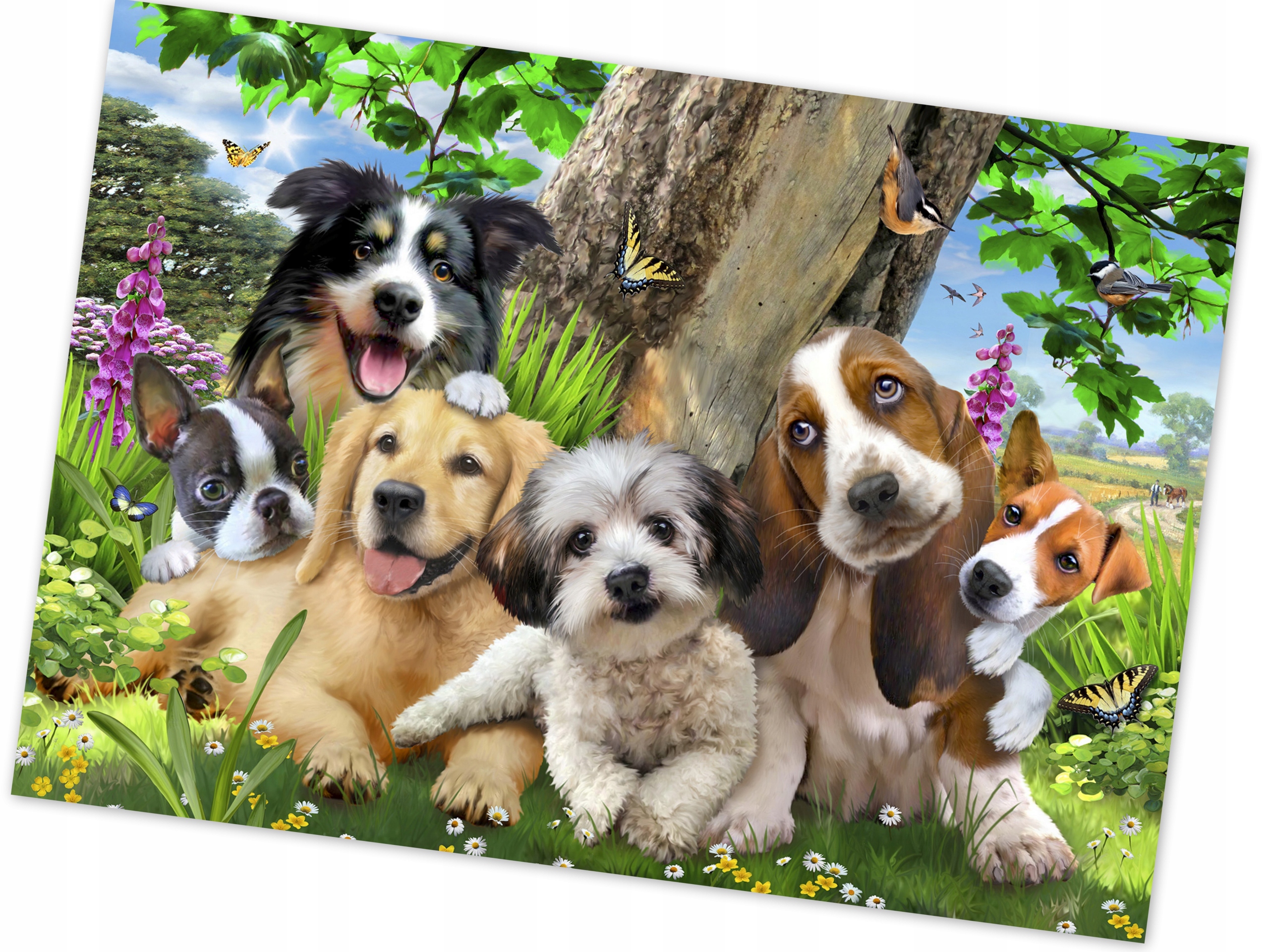 

Fototapeta Zwierzęta Psy Psiaki 208x146 Flizelina