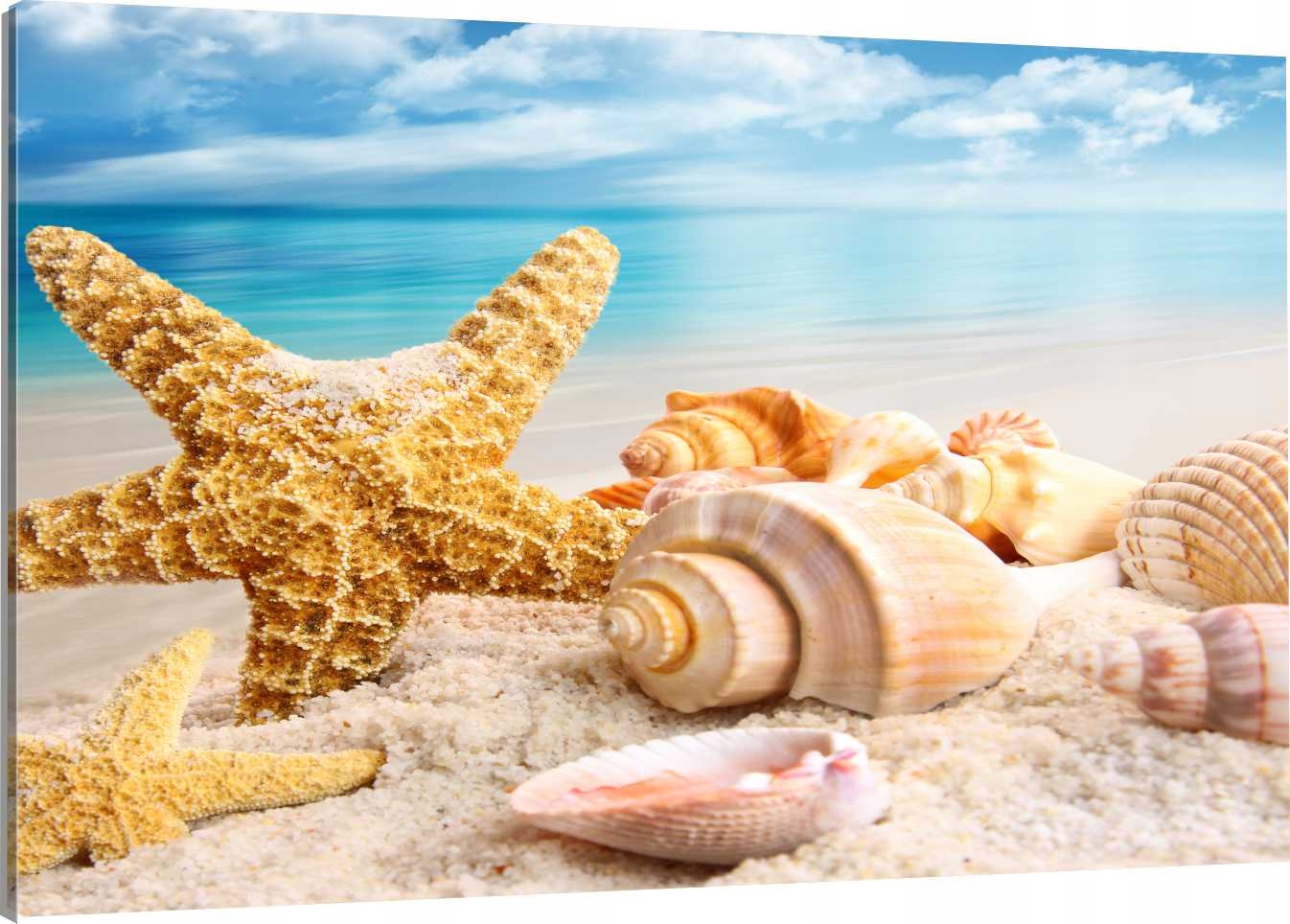 

Obraz Na Płótnie Muszle I Morze 70x50 800 Wzorów
