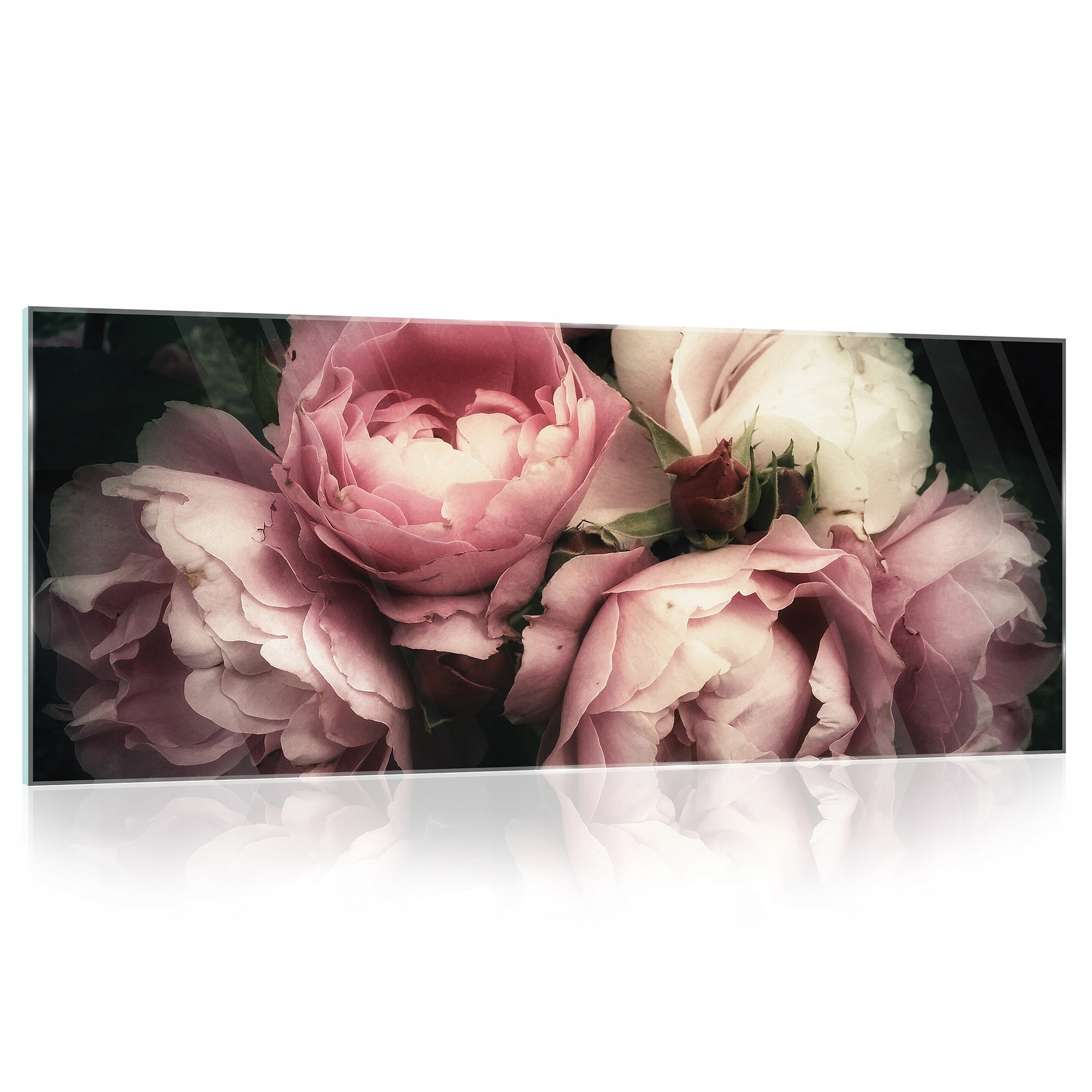 Obraz Na Skle Sklenené Kvety Pivonie Do Kúpeľne Spálne Veľký XXL 125x50