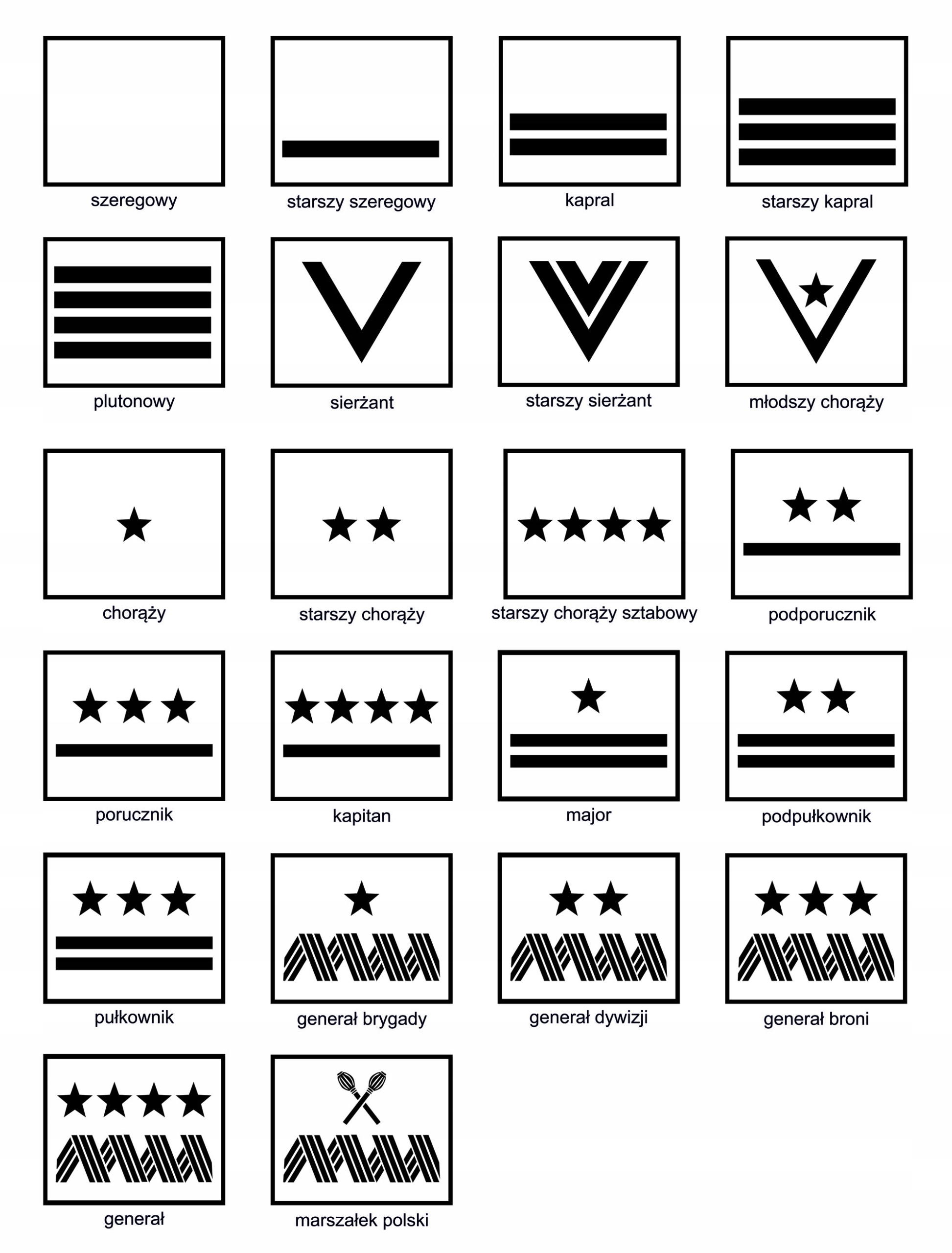 KOSZULKA WOJSKOWA STOPIEŃ + NAZWISKO Imiennik WP khaki męska techniczna Model CA0407C15STOPIENFLAG2ksywa