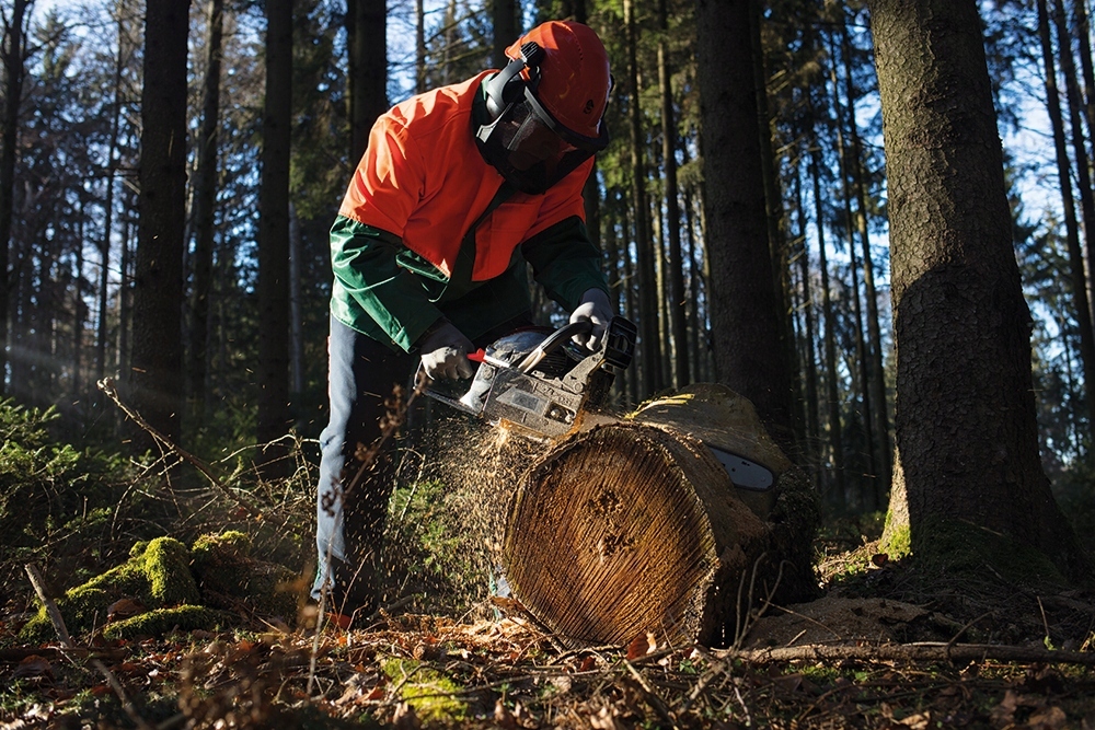 NAC PIŁA PILARKA SPALINOWA ŁAŃCUCHOWA 3.8KM 50CM 2 X PROWADNICA 2X ŁAŃCUCH Kod producenta PILARKACST61-50AOW