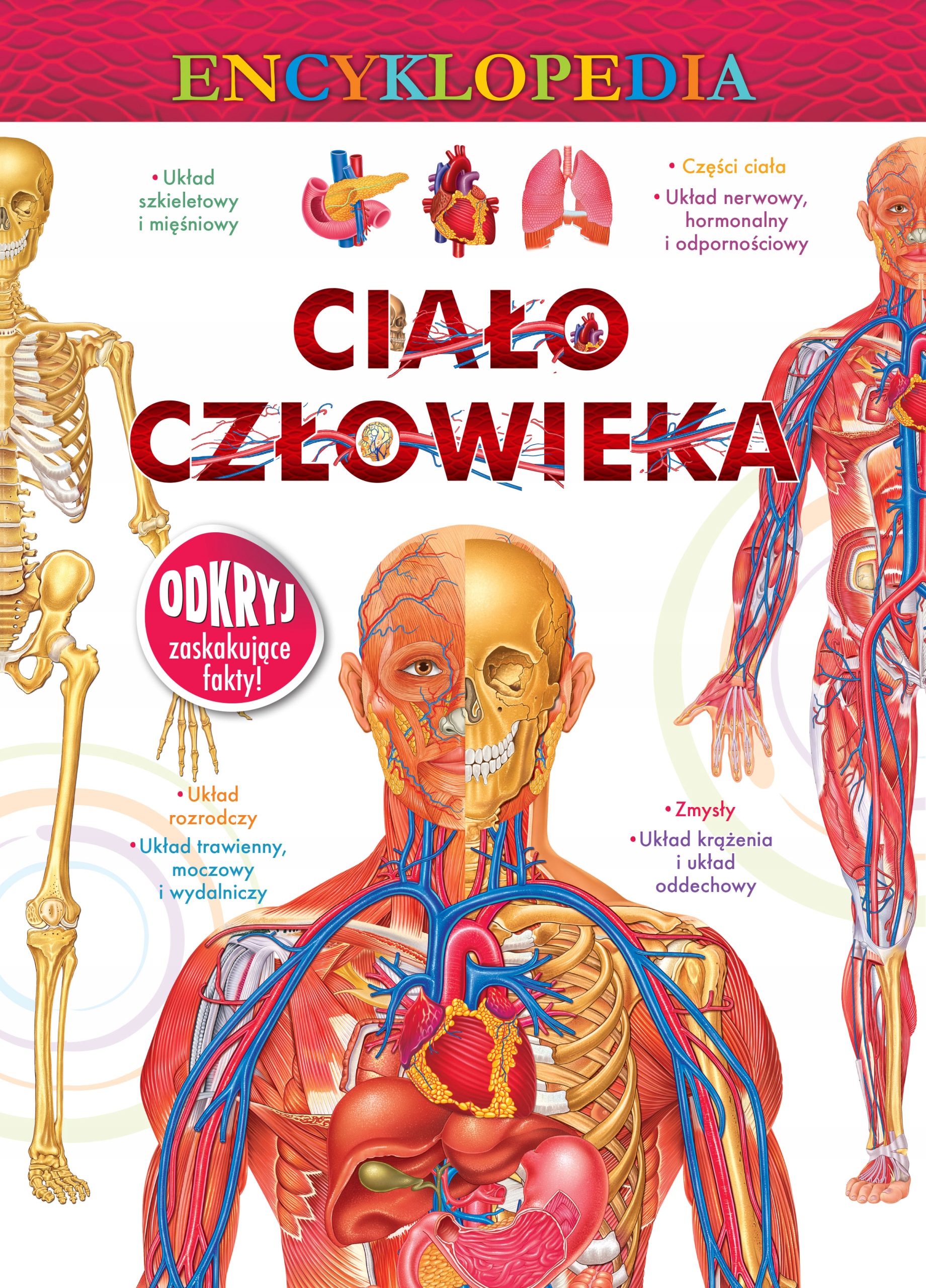 

Encyklopedia Ciało Człowieka Twarda Nagrody