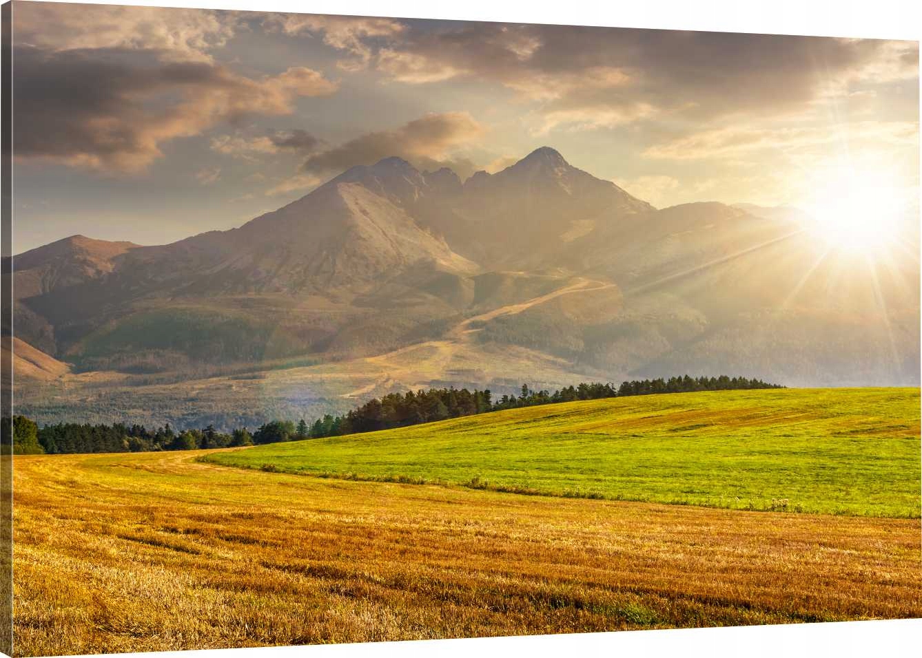 

Obraz Na Płótnie Widok Góry Tatry 110x70 800 Wz