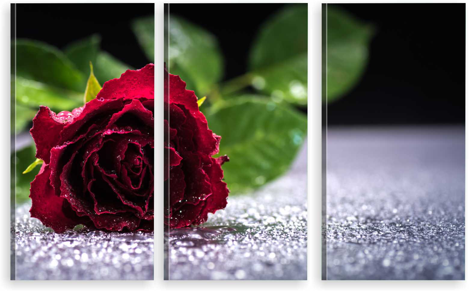 

Tryptyk Obraz Na Ścianę Do Salonu Czerwona Róża