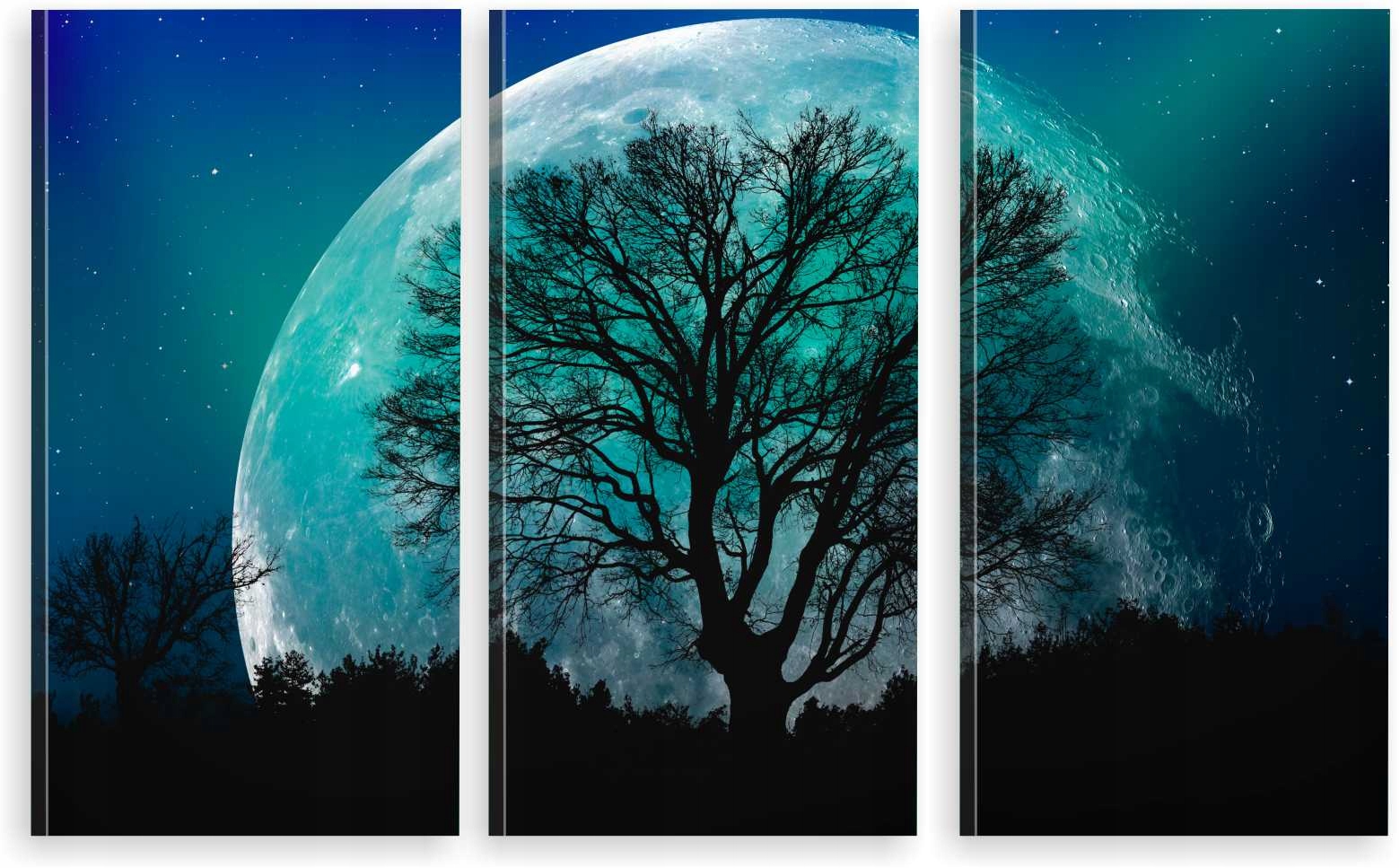 

Tryptyk Obraz Na Ścianę Drzewo Księżyc Noc 980 Wz