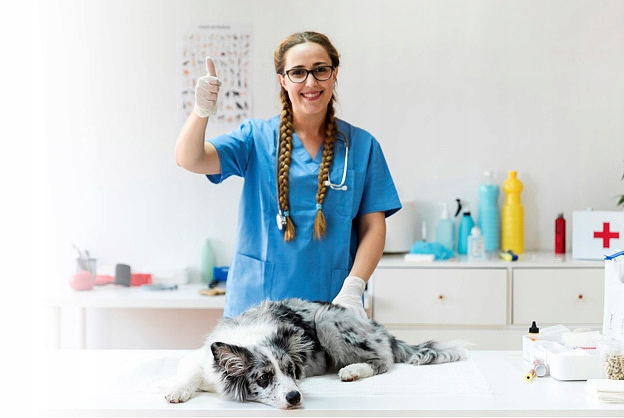 LEGOWISKO KOJEC KANAPA DLA PSA PETHAUS 70x60cm L Marka Pethaus