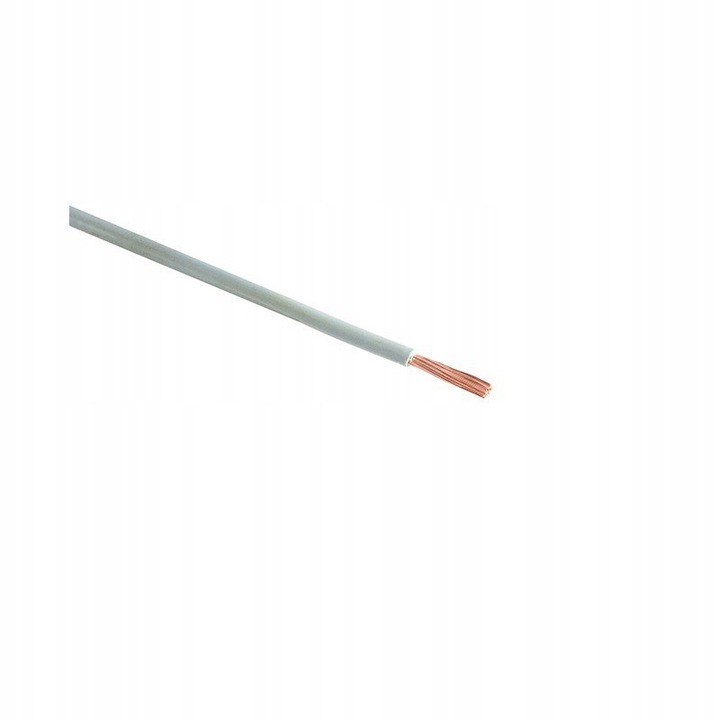 

Przewód LgY 1x1 300/500V Biały 50mb 185946