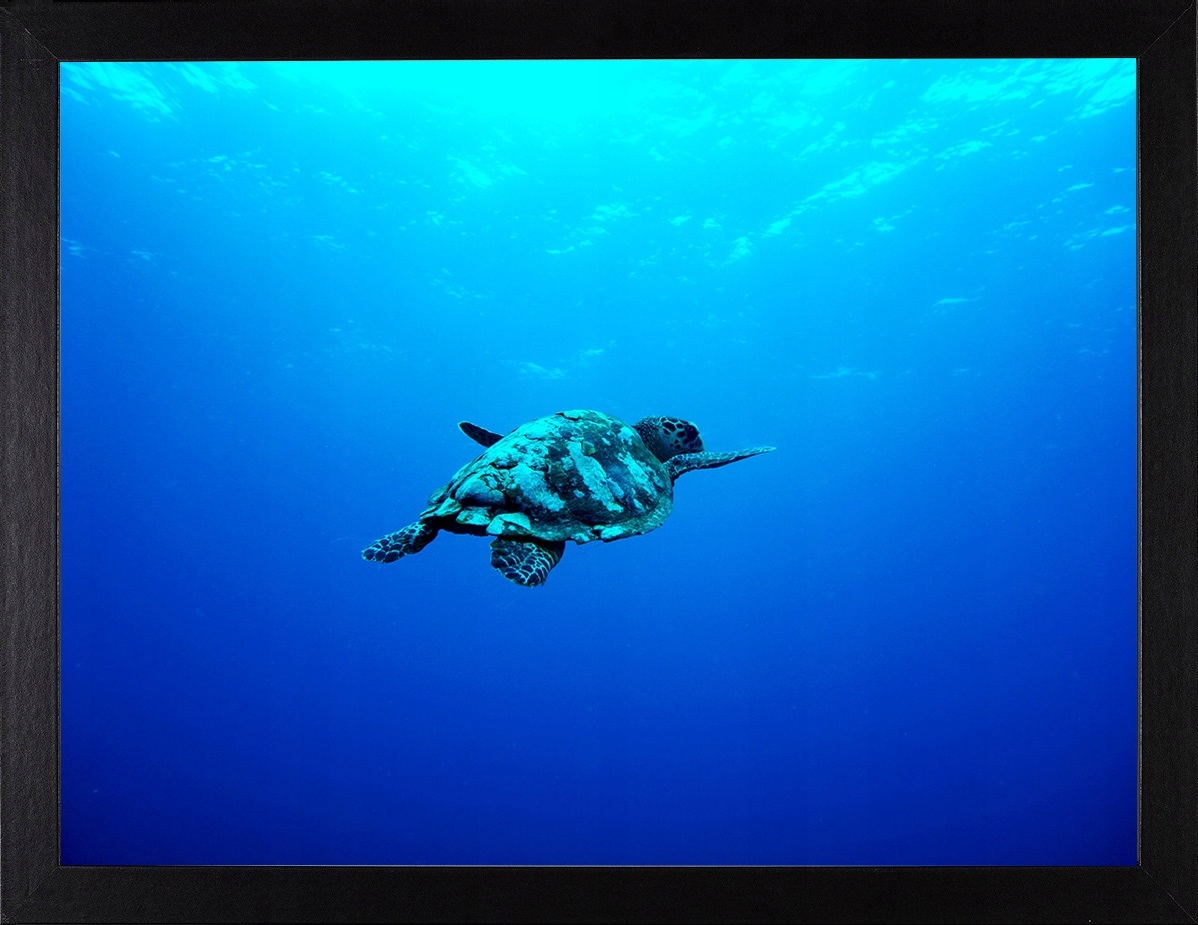 

Ramka Drewniana 29,7x42 Rama Czarna Na Zdjęcie A3