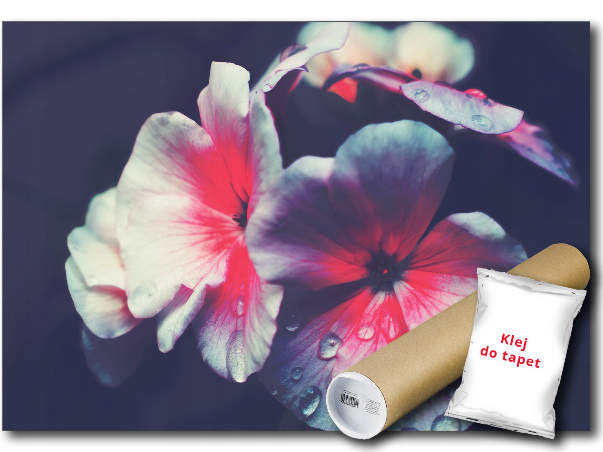 

Fototapeta Kwiaty Kwiatki 9E Fm 104x70,5 F12755