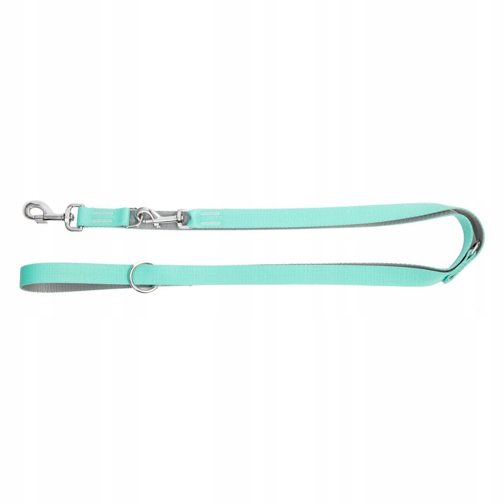 Levně Dingo Vodítko Energy Reg 2,5/220 cm Mátová