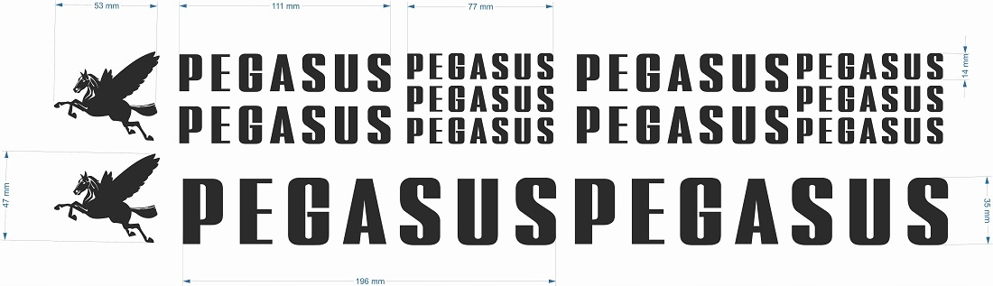 Zestaw naklejek PEGASUS na rower NAKLEJKI Marka bez marki