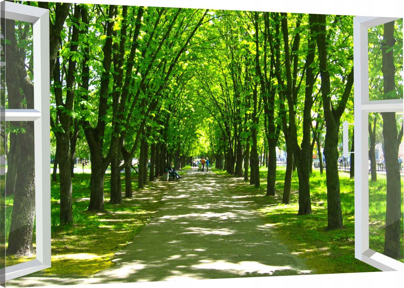 

Obraz Na Płótnie Okno Drzewa Park 120X80 800 Wz