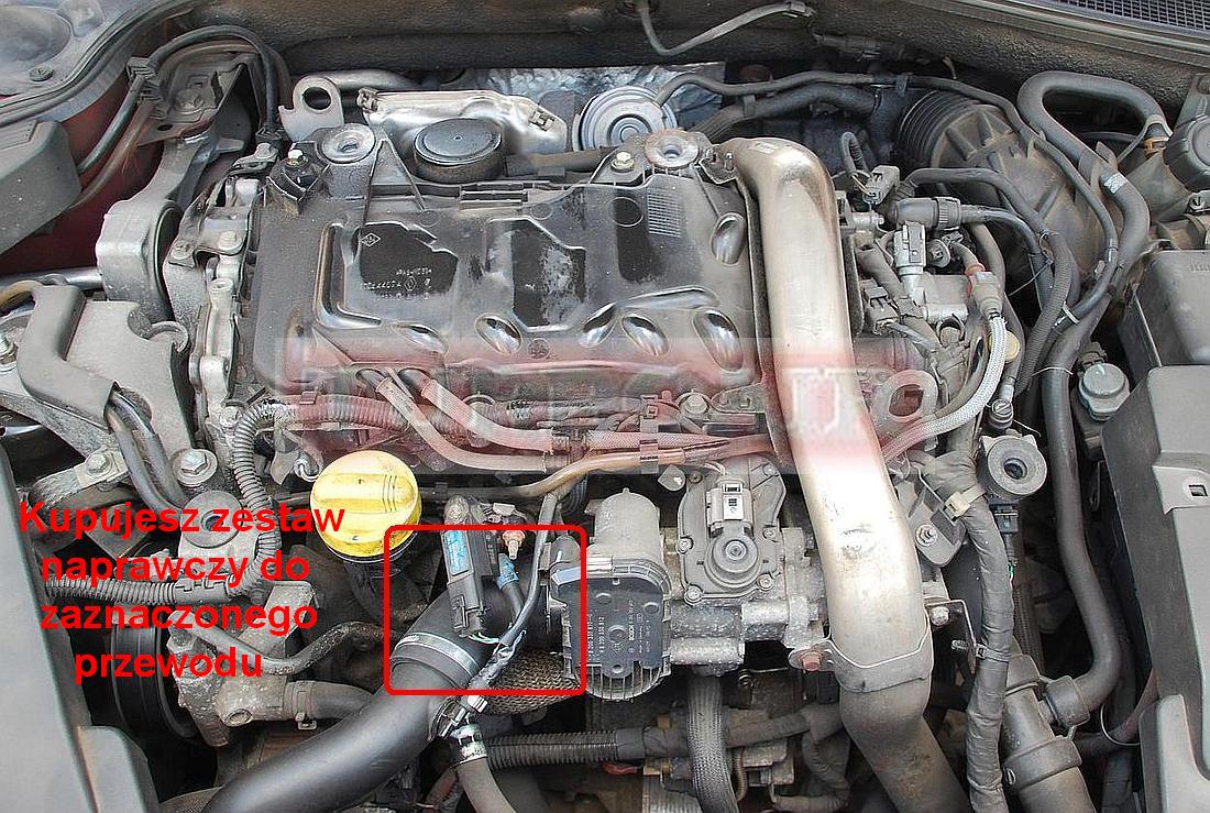 B966d66f4c32a8ea83a6f67f8c31