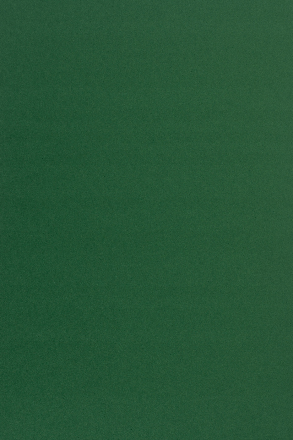 

Papier gładki kolorowy Sirio 210g c. zielony 25A4