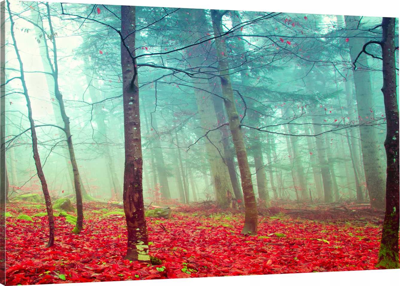 

Obraz Na Płótnie Las Drzewa Liście 120X80 800 Wz