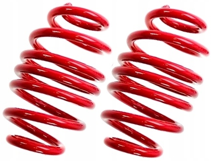 EVOVW130F - VW TRANSPORTER T4 спортивні пружини -50 та TECHNIX