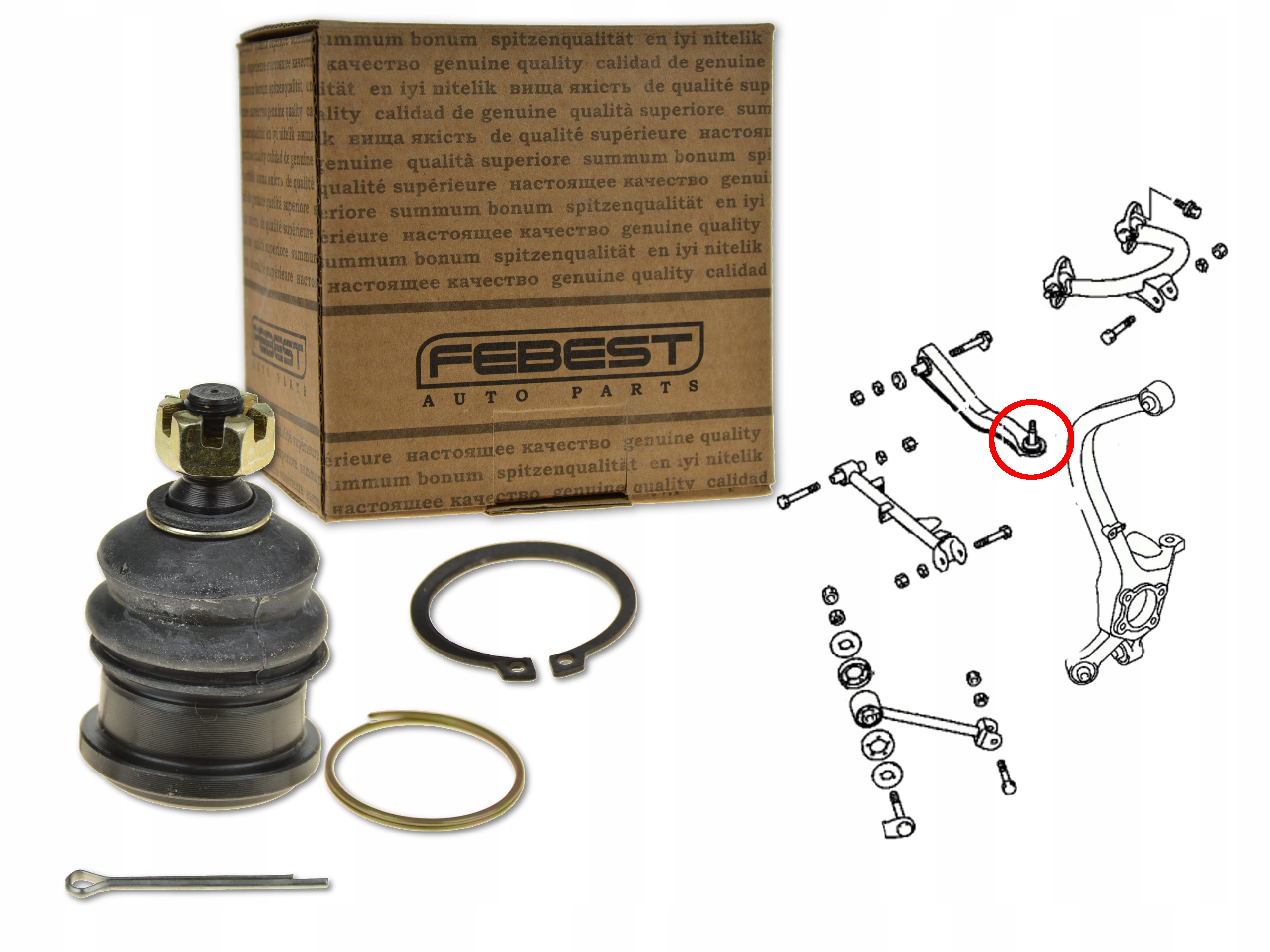 SWORZEŃ WAHACZA TYŁ TYLNY 0420-050