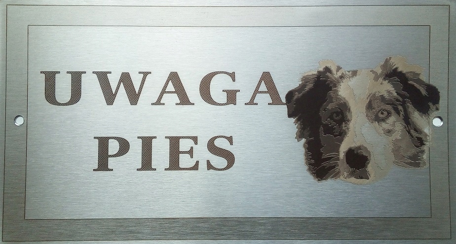 Tabliczka nierdzewna - Owczarek Australijski