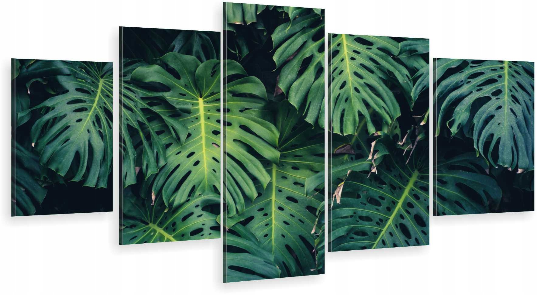 

Tryptyk 5-CZĘŚCI Na Ścianę Liście Natura 980 Wz