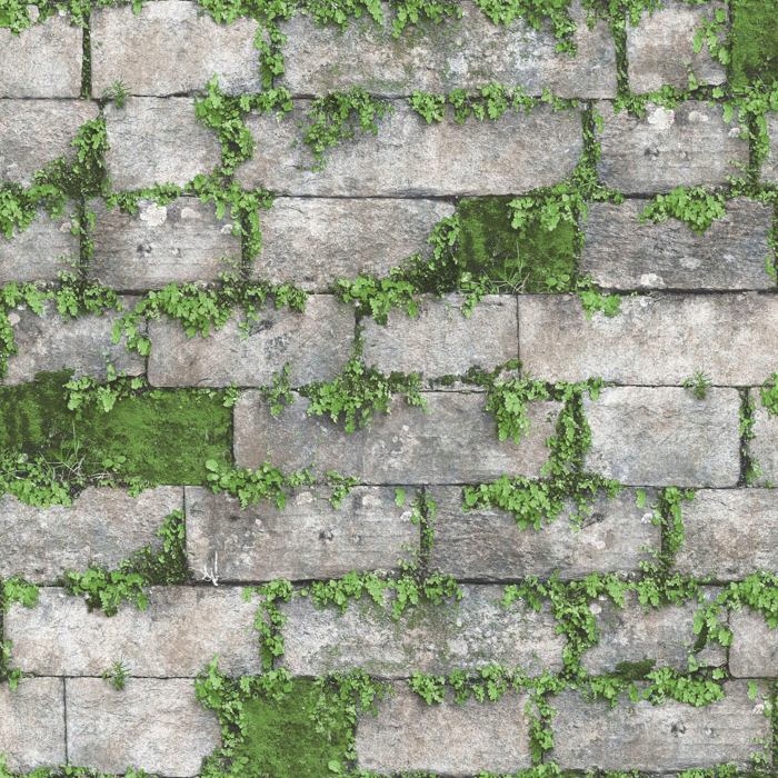 

Tapeta Wzór Kamień Mur Porośnięty Roślinami 3D