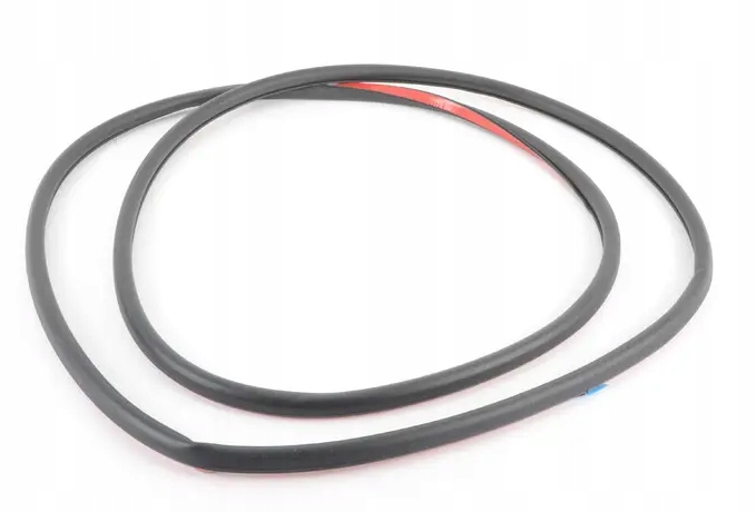 Uszczelka drzwi tylnych BMW 3 F30 Oryginał