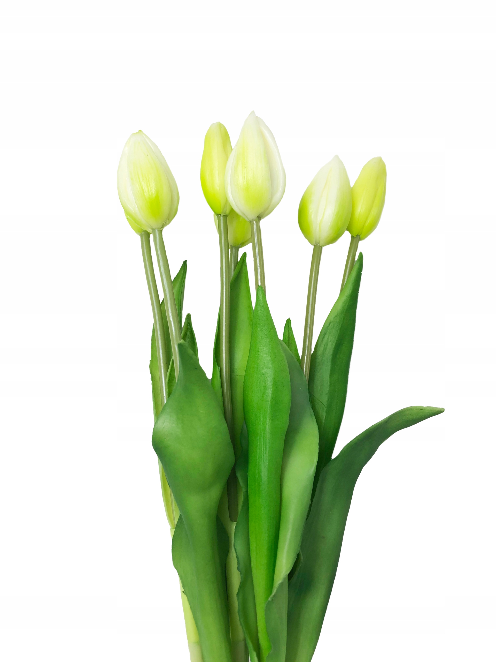 

Bukiet Tulipanów 7szt Tulipany jak żywe biały pąk