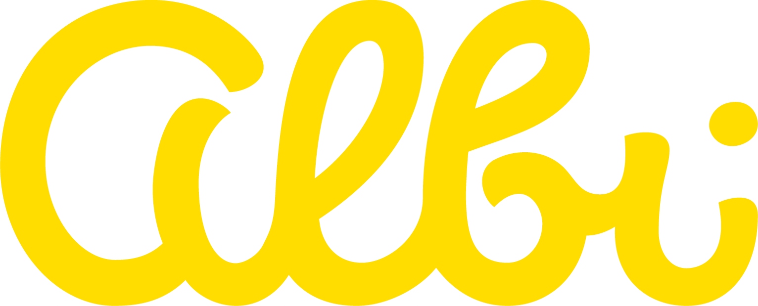 CZYTAJ Z ALBIKIEM MÓJ PIERWSZY ELEMENTARZ KSIĄŻKA Klasa brak informacji