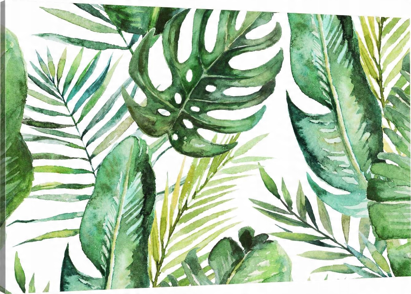 

Obraz Na Płótnie Do Salonu Monstera 70x50 980 Wz