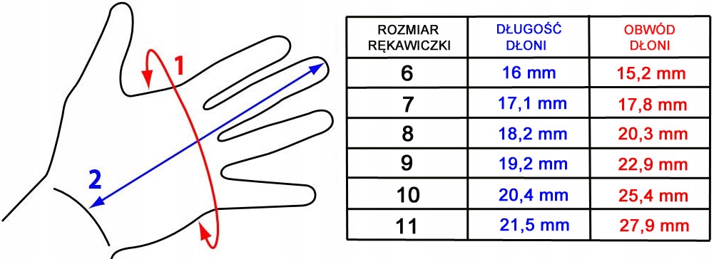 12x RĘKAWICE RĘKAWICZKI ROBOCZE OGRODOWE 8 M EAN (GTIN) 5901832504634