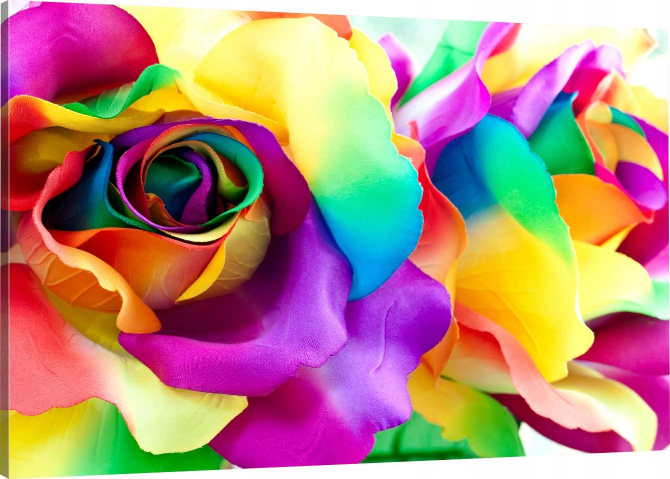 

Obraz Na Płótnie Kolorowe Róże 100x70 800 Wzorów