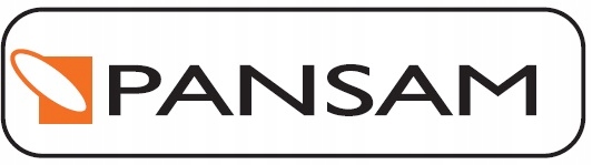 PANSAM Gwoździe Szpilki TYP300 dł. 45mm 5000szt EAN (GTIN) 5902628002655