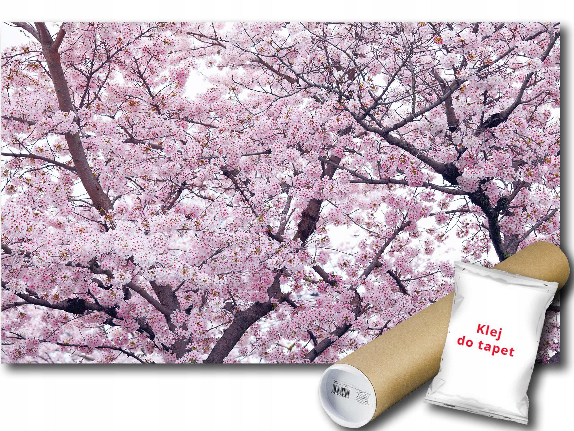 Fototapeta Kvetoucí Jabloň 9E F2XL 312x219 F10894