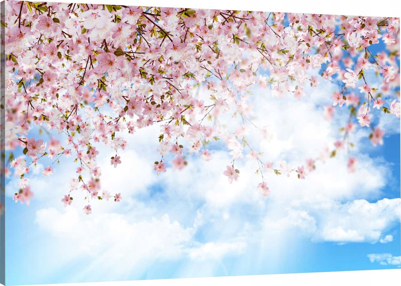 

Obraz Na Płótnie Niebo Kwiaty 120x80 980 Wzorów