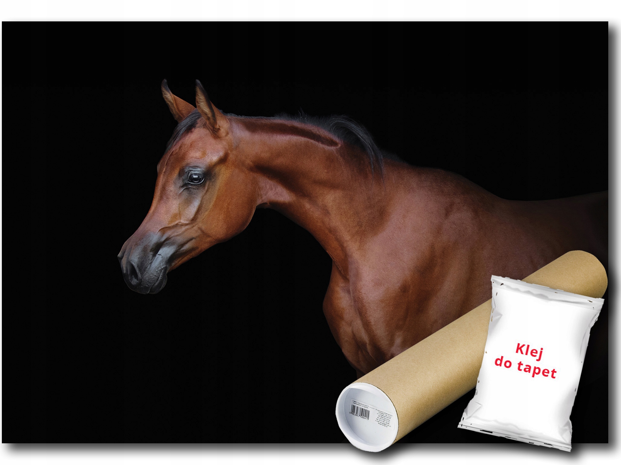 Fototapeta Kůň Bělouš 12B F3XL 416x254 F13601