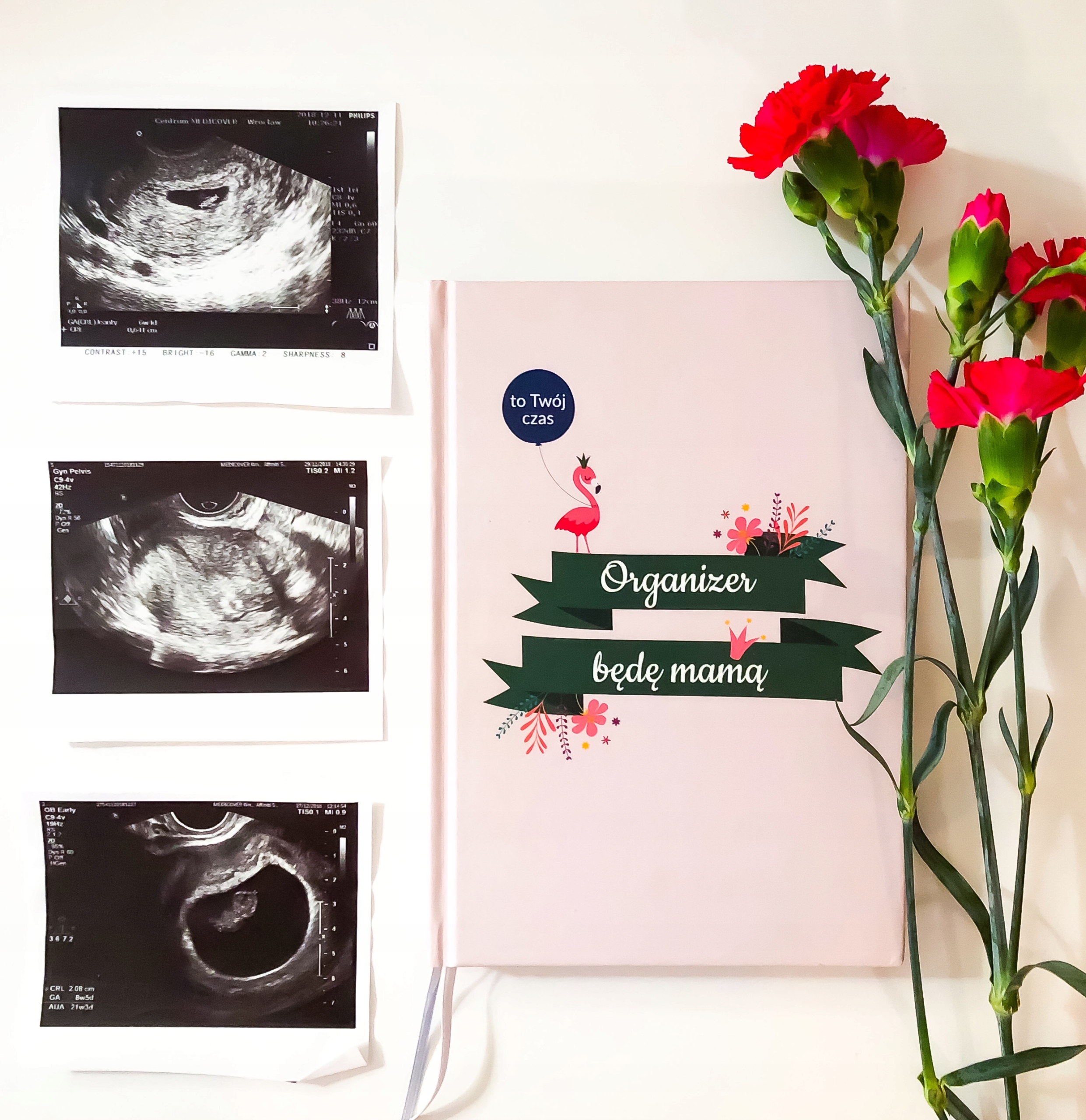 Ciąża, Organizer przyszłej mamy