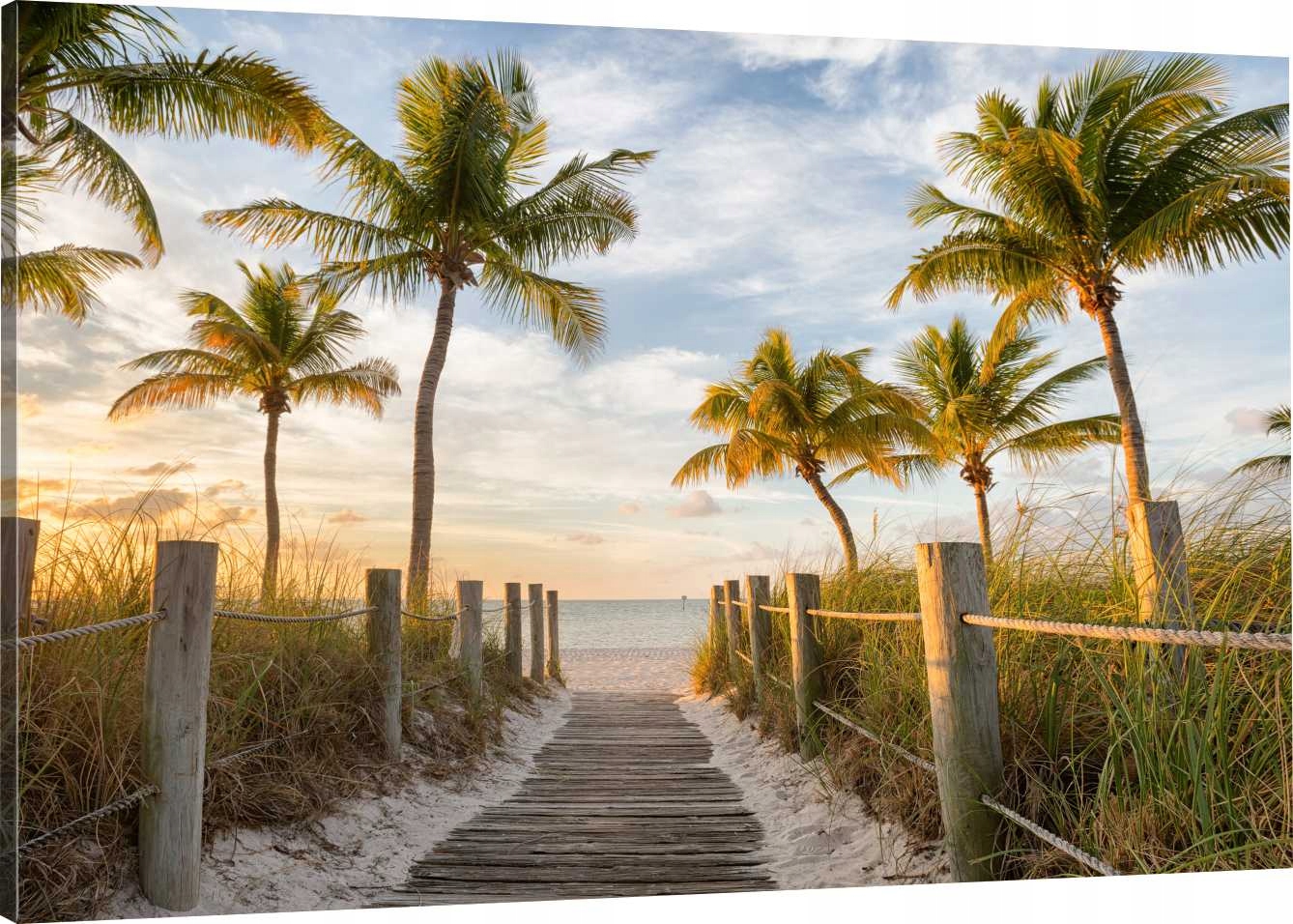 

Obraz Na Płótnie Miami Palmy Plaża 120x80 980 Wz