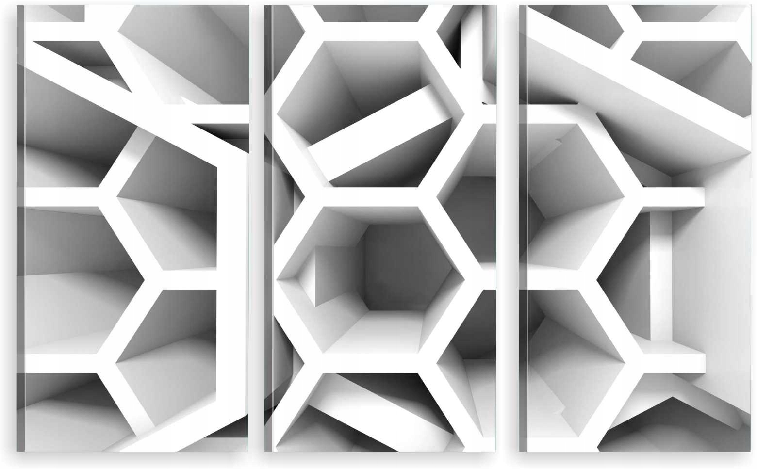 

Tryptyk Obraz Na Ścianę Geometria 980 Wzorów