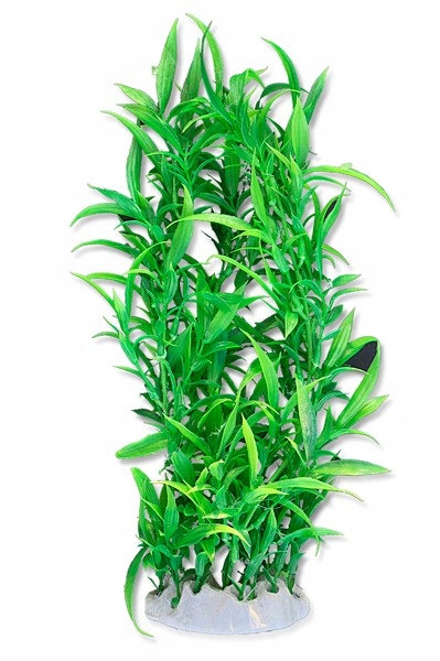 

Orzech 40 CM Duża Roślina Do Akwarium 4F35