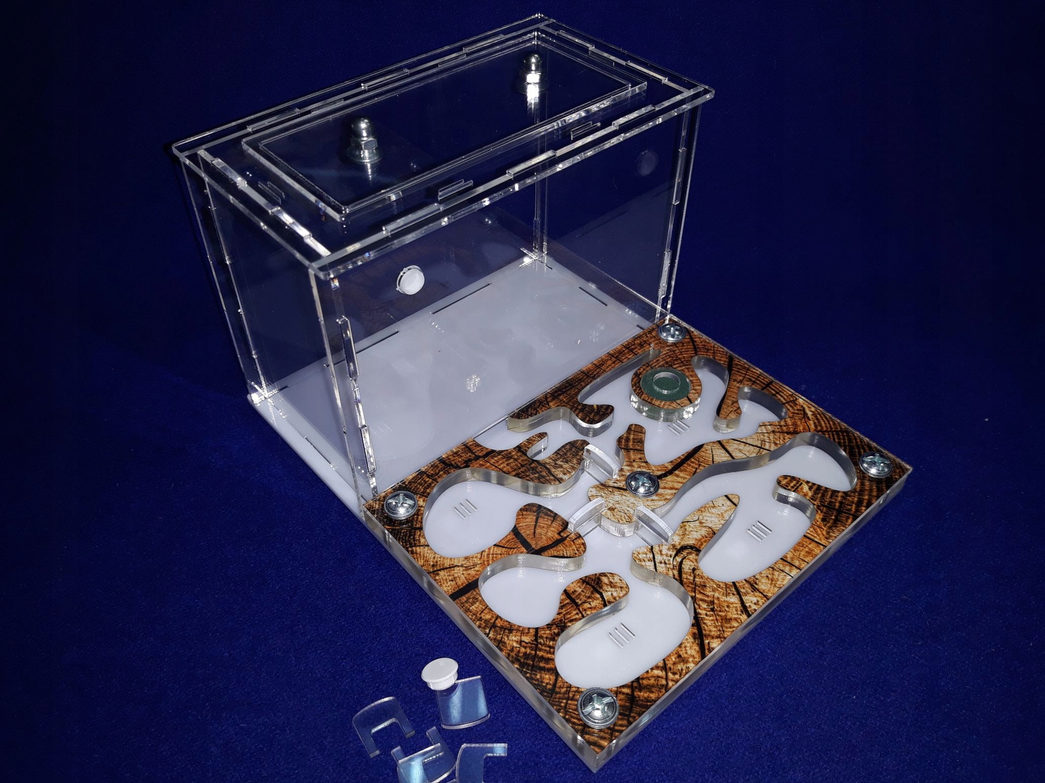 Formikarium akrylowe JZ9. DUŻY ZESTAW STARTOWY! Wysokość produktu 10 cm