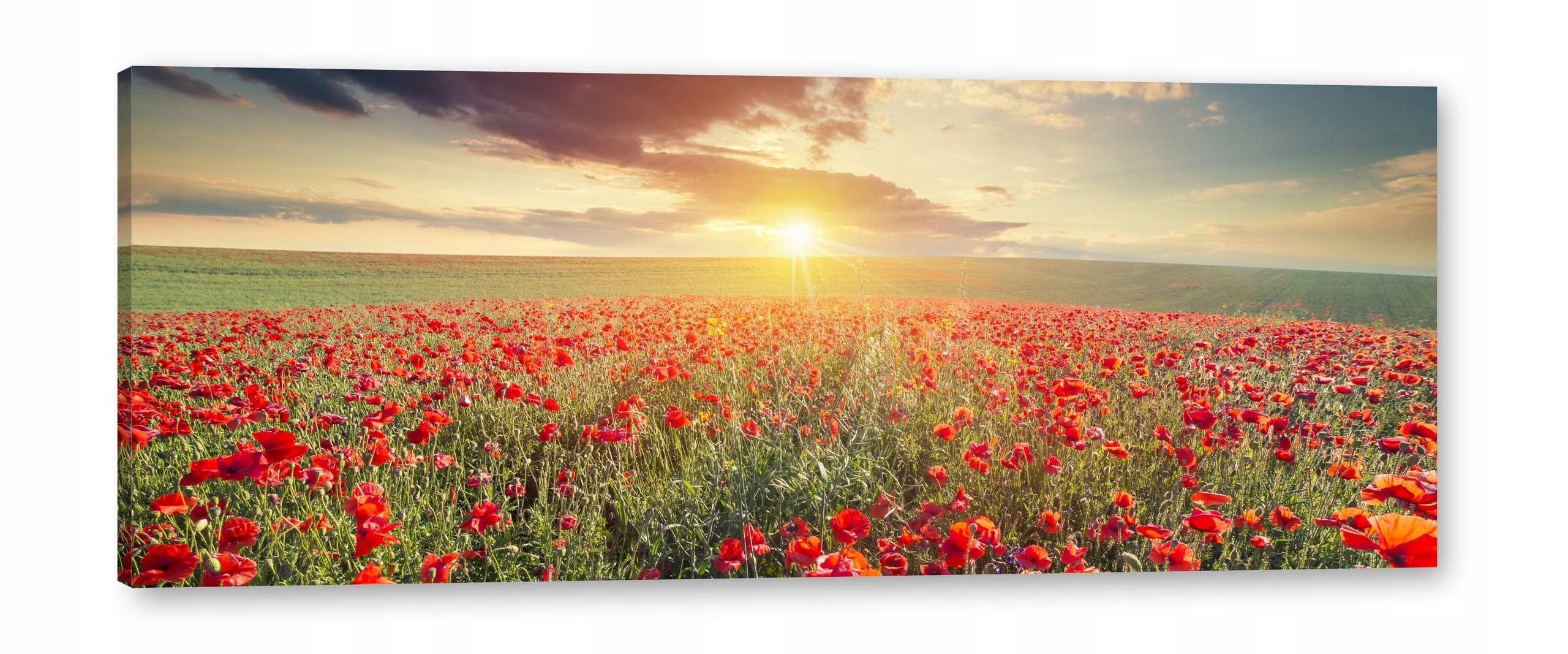 

Maki __Obrazy na płótnie 130x50 Obraz na ścianę