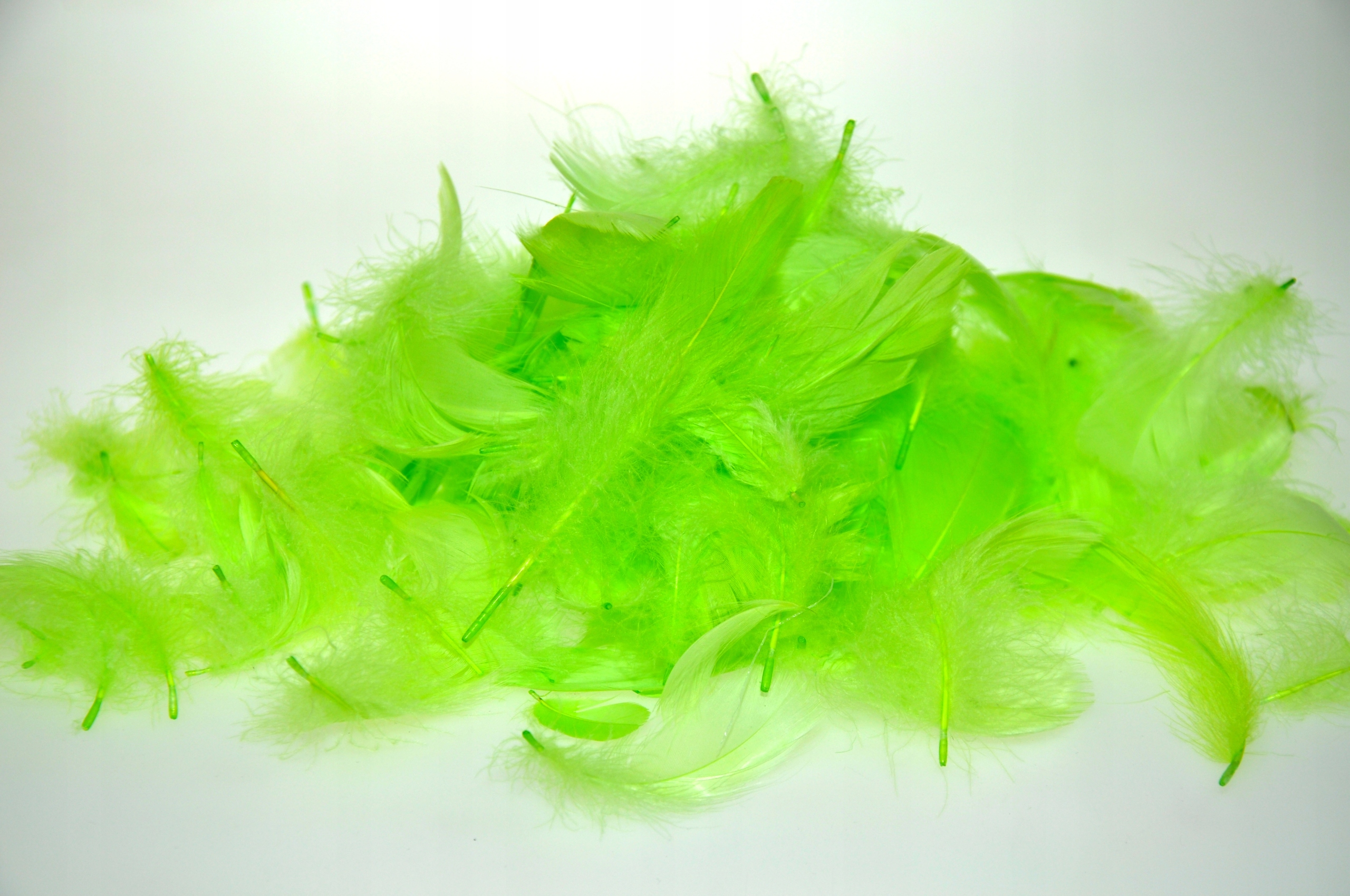 PIÓRKA 200 szt prawdziwe KOLOROWE ŚWIĘTA