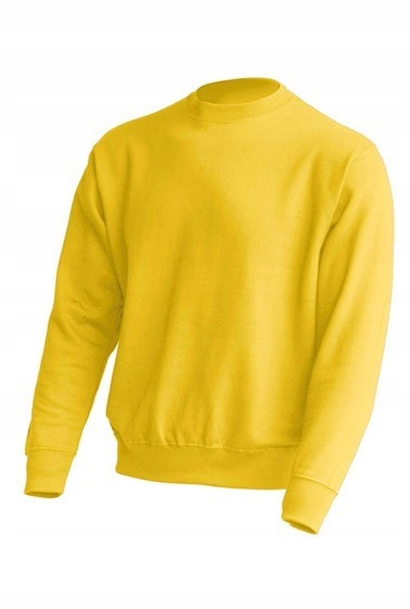 

Bluza męska klasyczna Jhk Gold r M