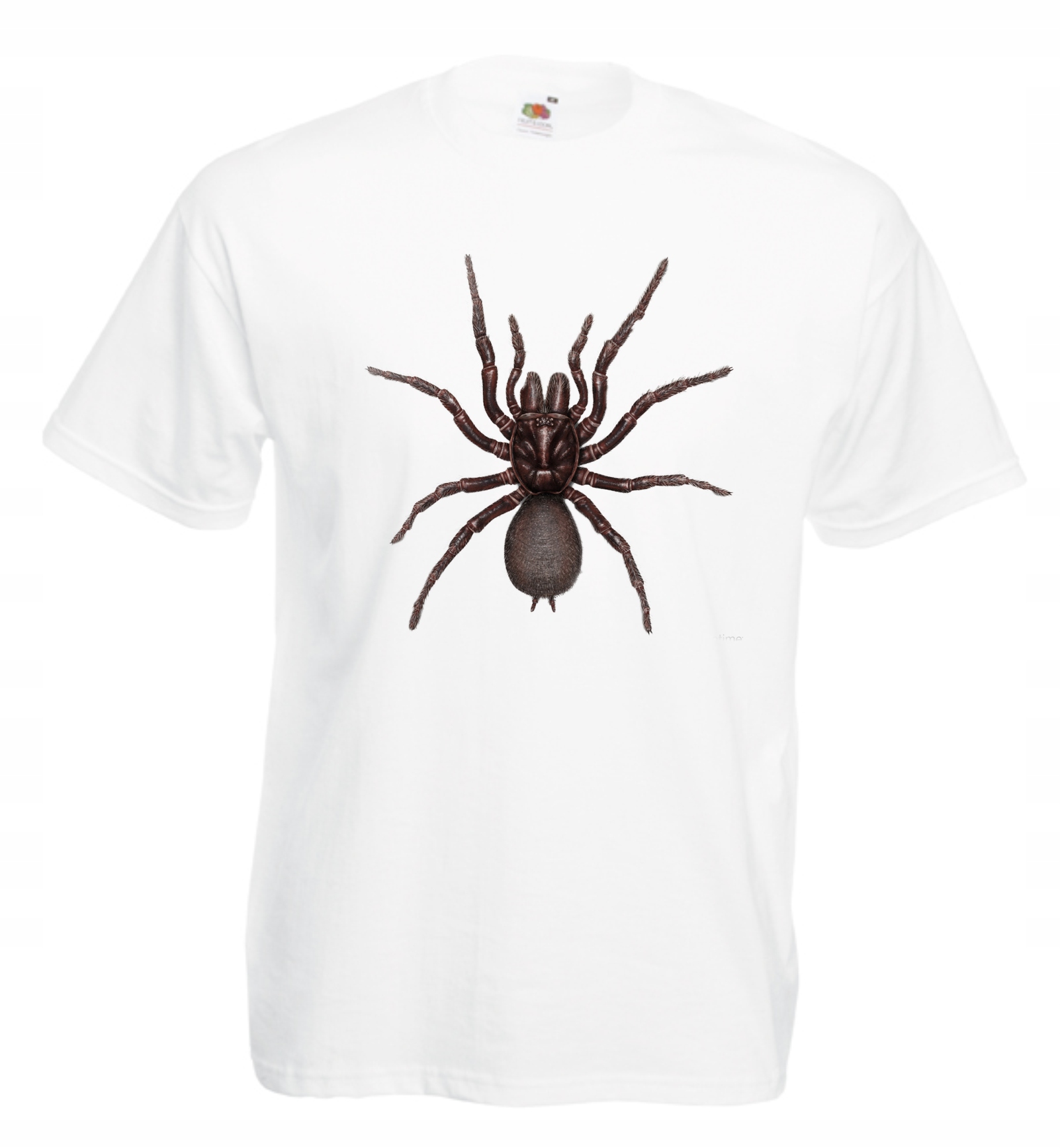 

Koszulka męska z nadrukiem Pająk Spider XL