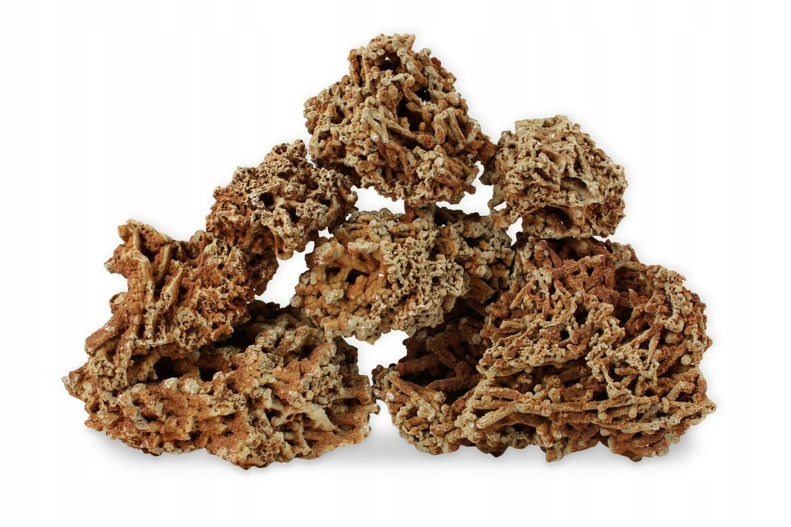 

1 szt Kamień Czerwony Las W Słoik, Szkle 50-70mm