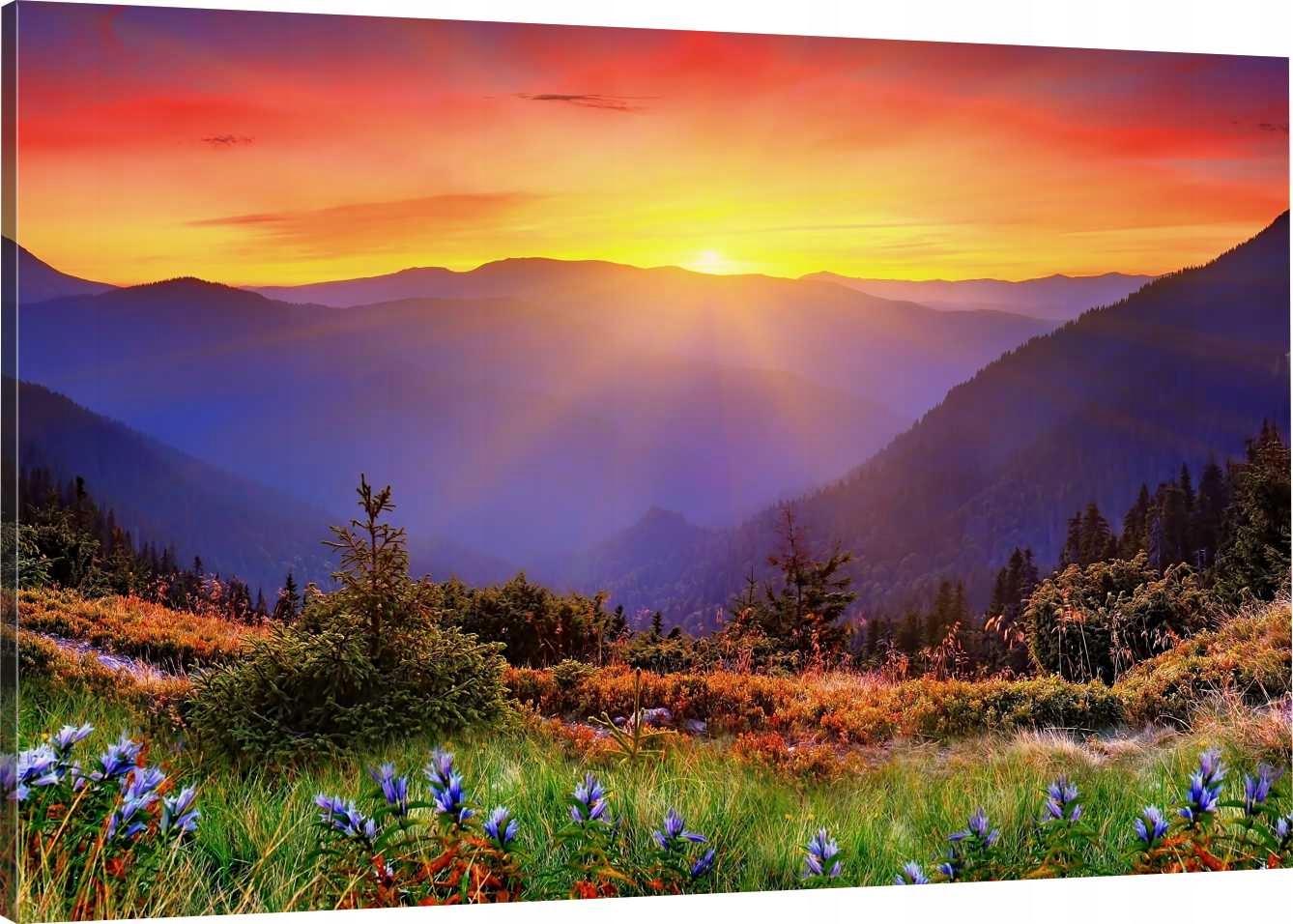 

Obraz Na Płótnie Góry Słońce Polana 90x60 980 Wz